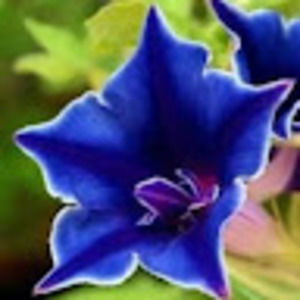 Meet your Posher, Deb